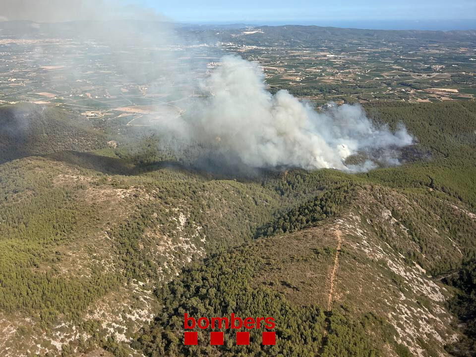 Foto incendi (ACN)